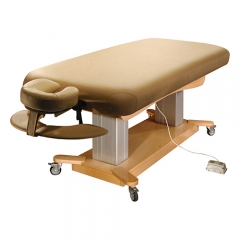 Electric Salon Beauty Bed | Massage Table Height Adjustable