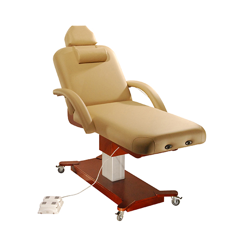 Howard Liftback Electric Massage Table Medical Treatment Beauty Bed