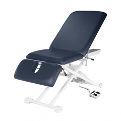 3 Sections Electric Facial Bed | Physiotherapy Massage Table | With Backrest Treatment Table