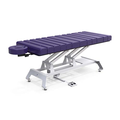 Camino Massage Flat Spa Bed Electric Beauty Bed Electric Salon