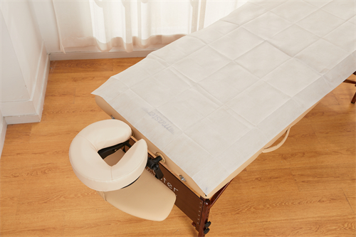 Disposable Waterproof Bed Sheets/Disposable Headrest Cover