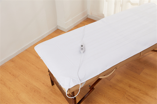 Deluxe Electric Warmer Pad