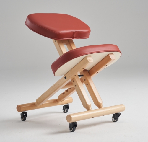 PC21 Ergomonic Kneeling Chair Posture Chair for Home and Office
