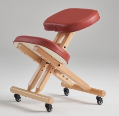 PC21 Ergomonic Kneeling Chair Posture Chair for Home and Office