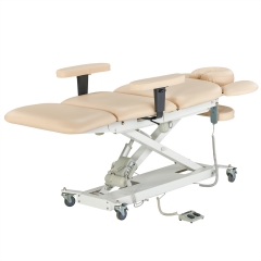 Royal Spa Electric Treatment Table
