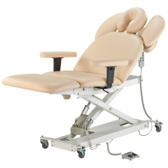 Royal Spa Electric Treatment Table