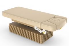 NESS-C Electric Salon Spa Treatment Table Massage Bed Couch