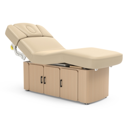 Charlotte-Salon Table Top Medi-Spa Treatment Table