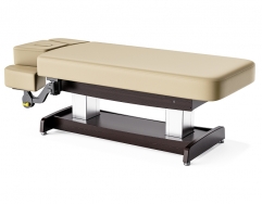 Union-Basic Salon Top Spa Treatment Bed Spa Facial Table
