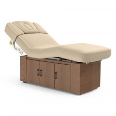 Alexander-B Multi-purpose 4 Motors Electric Treatment table with Cabinet Luxury Design with Detachable Table Cover
