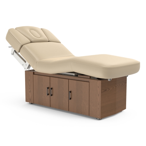 Alexander-B Multi-purpose 4 Motors Electric Treatment table with Cabinet Luxury Design with Detachable Table Cover