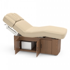 Alexander-B Multi-purpose 4 Motors Electric Treatment table with Cabinet Luxury Design with Detachable Table Cover