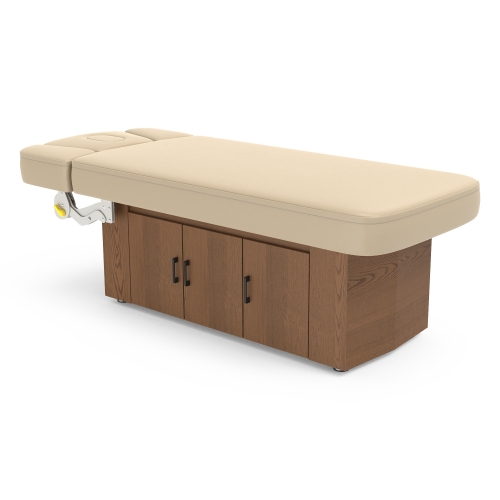 Alexander-B Luxury Design with Cabinet Electric Treatment lift Table