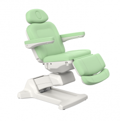 Luco Electric Beauty Chair with Heating