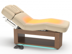 Alexander A Electric Massage Table for Beauty Salon & Spa