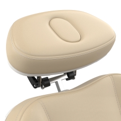 Morley 431FC Multi-Motor Electric Facial Procedure Chair Beauty Treatment Bed for Medical Spa