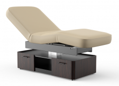 Frement Electric Massage Table for Beauty Salon & Spa