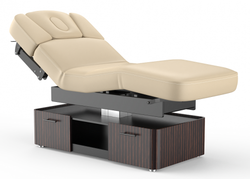 Frement Electric Massage Table for Beauty Salon & Spa