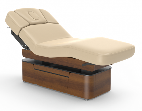 Lynn-Heaven Electric Massage Table for Beauty Salon & Spa