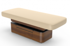 Lynn-Heaven Electric Massage Table for Beauty Salon & Spa
