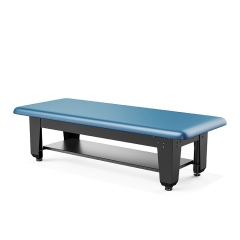 TheraLift Bariatric Power Hi‑Lo Rehabilitation Mat Table | Electric Height‑Adjustable Heavy‑Duty Physiotherapy Bobath Table