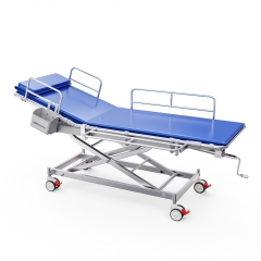 Hemet Medical Shower Trolley | Delma BathCare Patient Bathing Bed