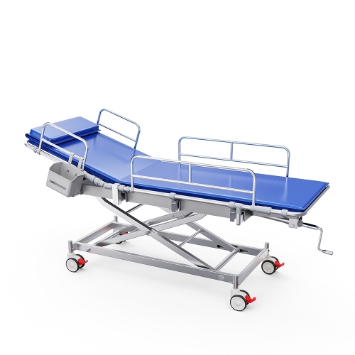 Hemet Medical Shower Trolley | Delma BathCare Patient Bathing Bed
