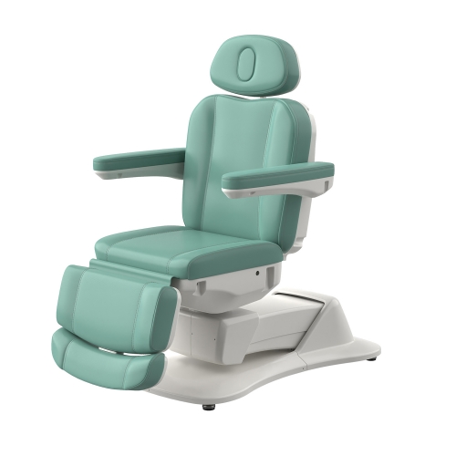 Morley 431 Custom Color Electric Facial Bed Electric Beauty Chair Salon Furniture Wholesale Supplier