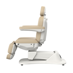 Morley 431 Custom Color Electric Facial Bed Electric Beauty Chair Salon Furniture Wholesale Supplier