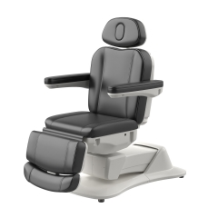 Morley 471 Luxury Full Electric Facial Chair Spa Massage Bed High End Beauty Salon Furniture Factory