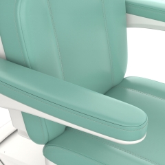 Morley 471 Luxury Full Electric Facial Chair Spa Massage Bed High End Beauty Salon Furniture Factory